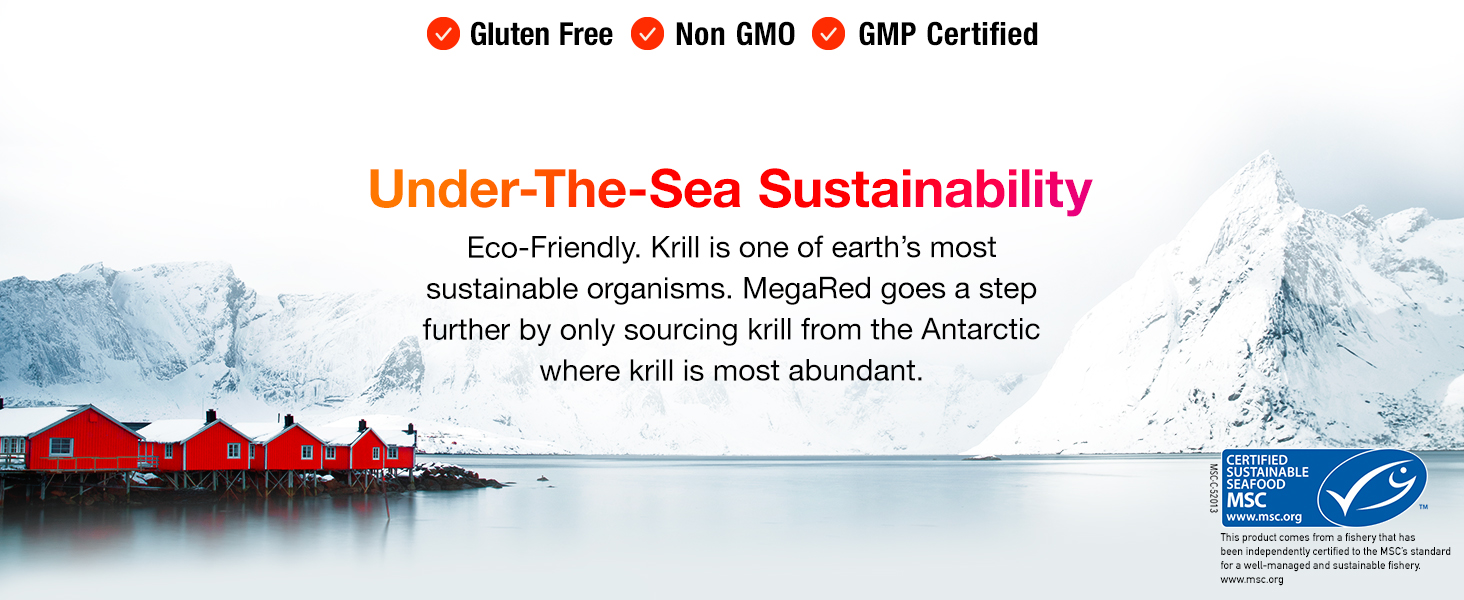 mega red Antarctic Kril oil omega 3 fatty acid supplements