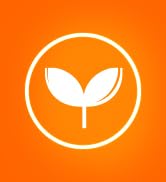 MegaRed MegaGreen Algae Oil, Omega 3s for Heart, Brain, Eyes, Joints