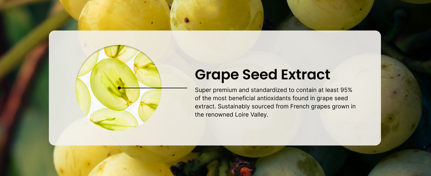 grape seed extract